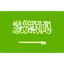 زبان عربی